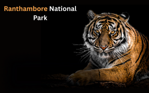 Ranthambore National Park