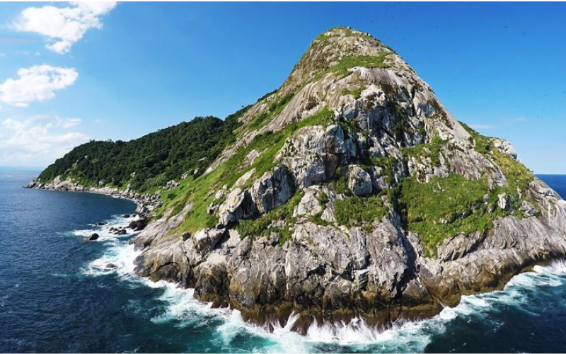 Snake island: World’s most dangerous tourist attractions