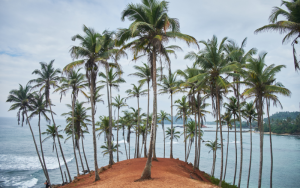 Mirissa Sri Lanka Beach 