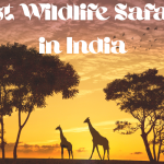 Best wildlife safaris in India