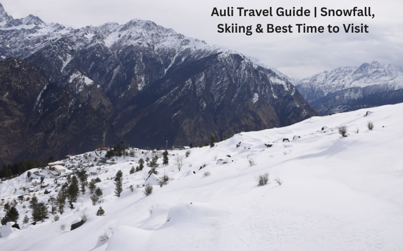 Auli Travel Guide