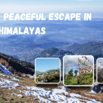 Why McLeod Ganj Is a Perfect Escape