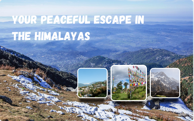 Why McLeod Ganj Is a Perfect Escape