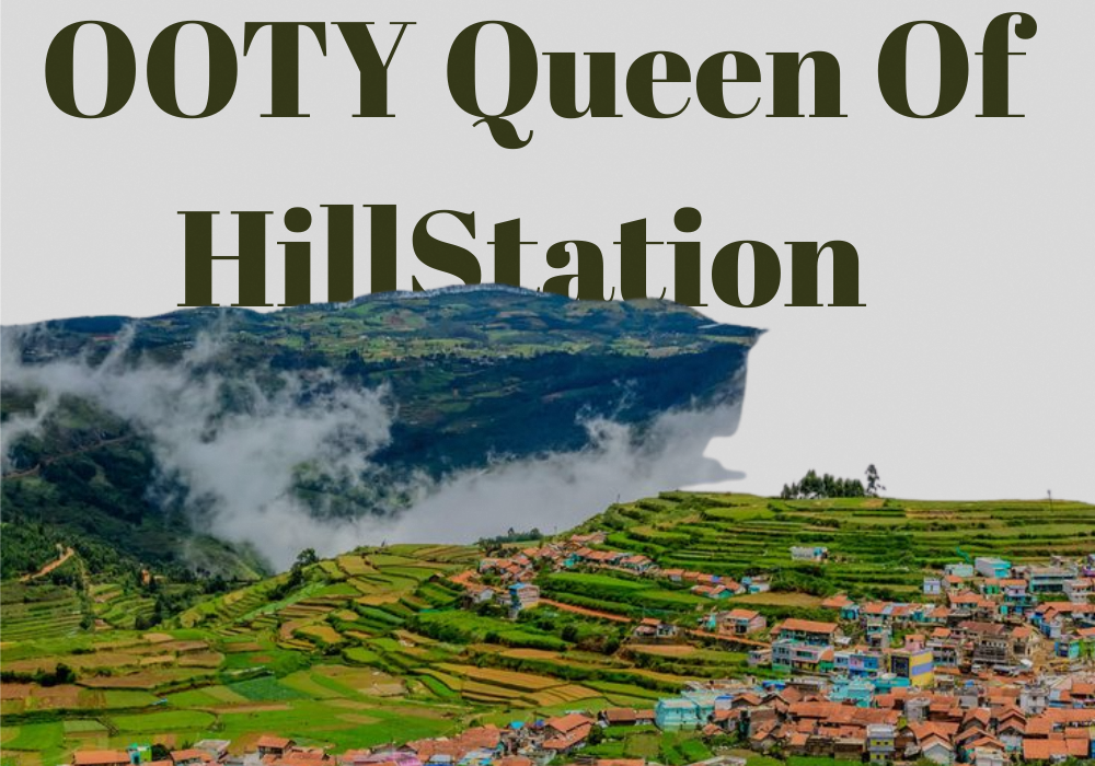 Lost in Ooty: Where Nature Feels Like Home