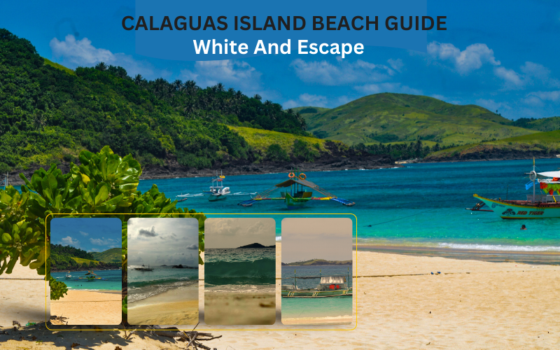 Calaguas Island Beach Guide