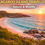 Kangaroo Island Travel Guide