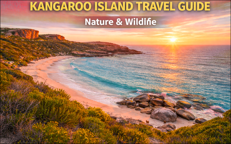 Kangaroo Island Travel Guide