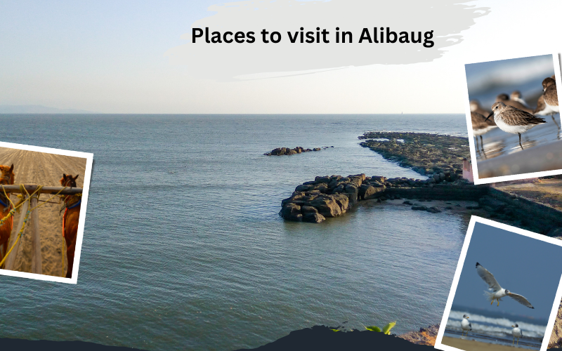 places to visit in Alibaug